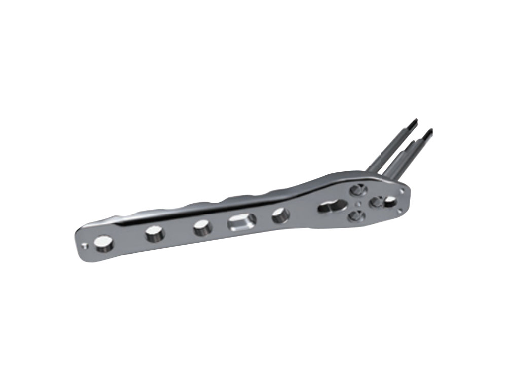 Dynamic Hip Locking Plate (I)