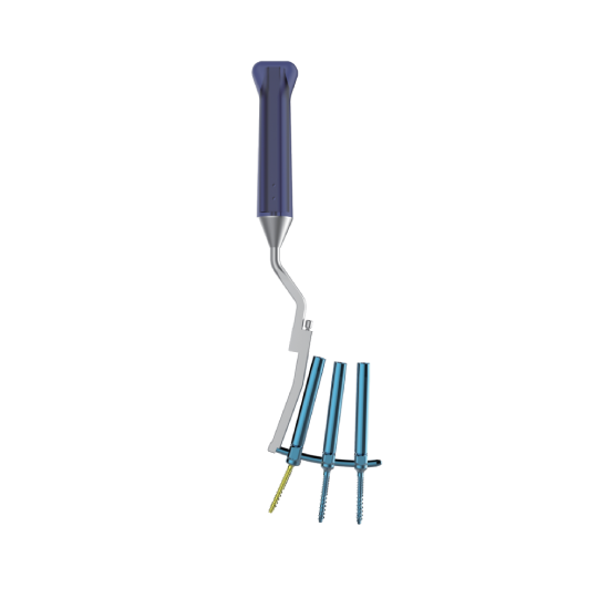 Productos espinales