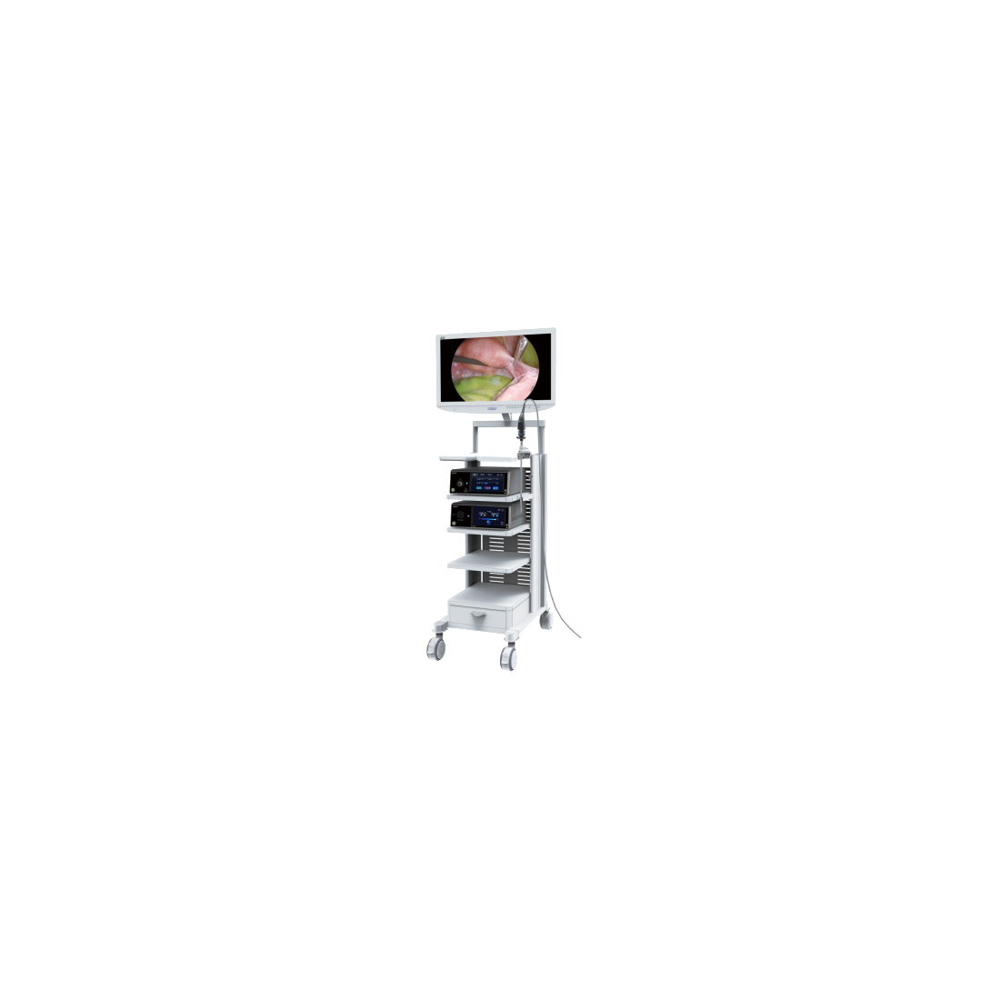 4K Fluorescence Endoscope Camera  System