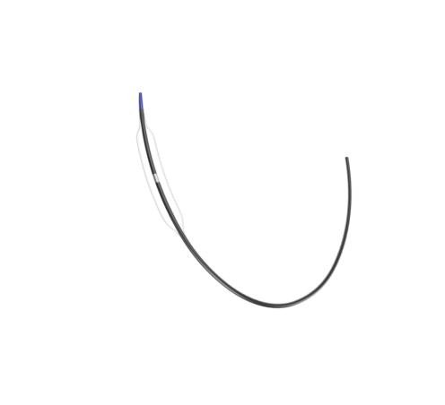 GenTadpole Coronary Balloon Dilatation Catheter