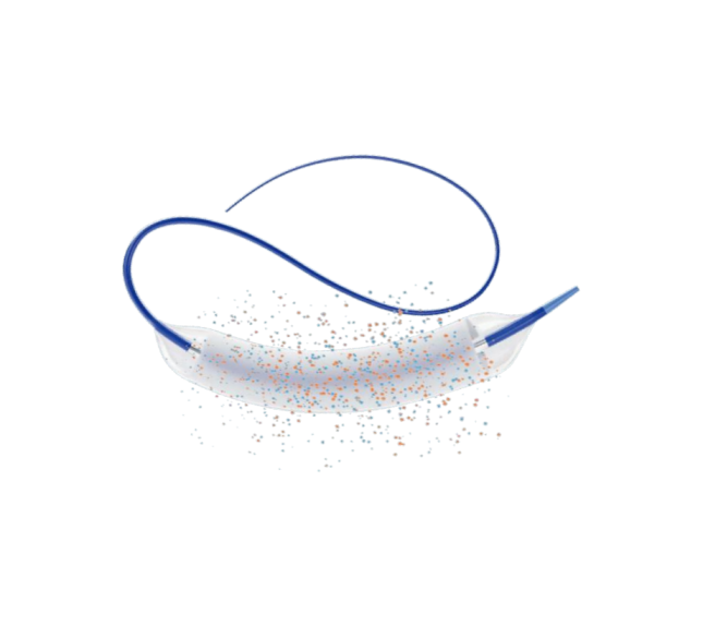 PeVaDilat Drug-Coated Peripheral Balloon Dilatation Catheter