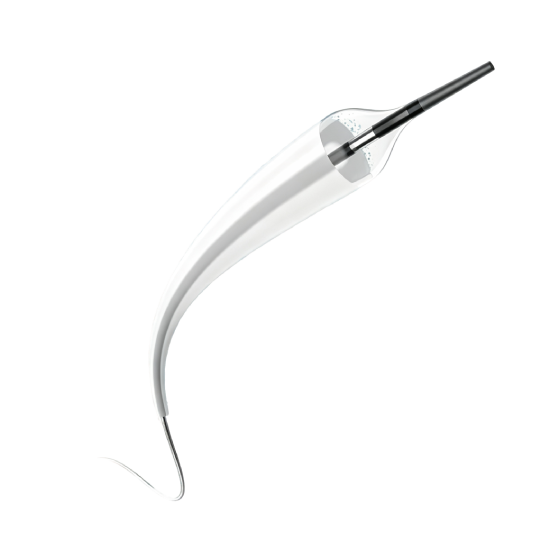 DilatBK Paclitaxel Coated Peripheral Balloon Dilatation