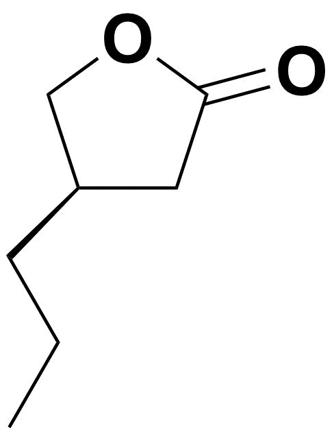 BR50
