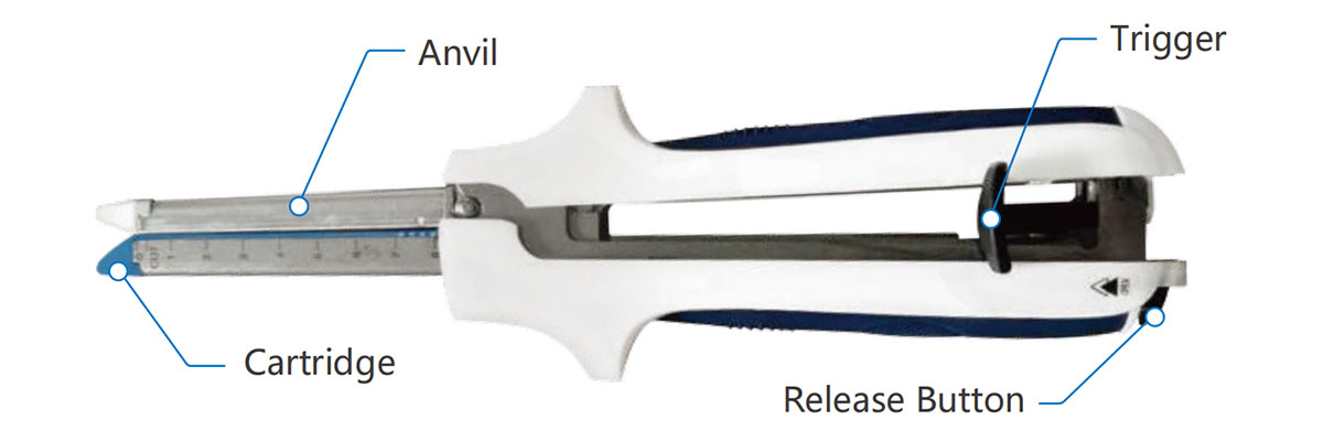 Linear Cutter