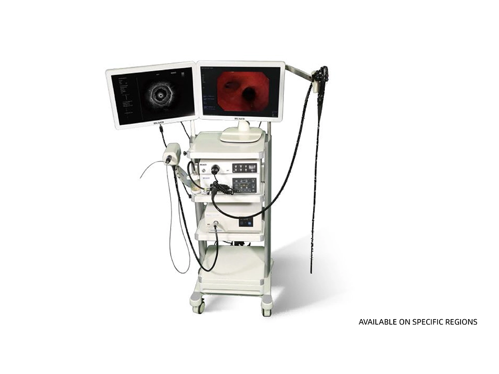 비디오 내시경 및 내시경 초음파 프로브 VSONIC 600B