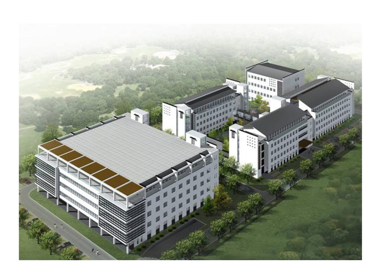 u, wczeniej znana jako Beijing Lepu Medical Technology Co., Ltd., specjalizuje si w badaniach i rozw...